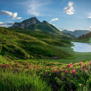 Zollner See