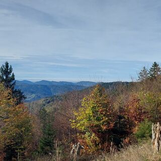 Ausblicke auf dem Panoramaweg zwischen Kreuzlehütte und Langmartskopf