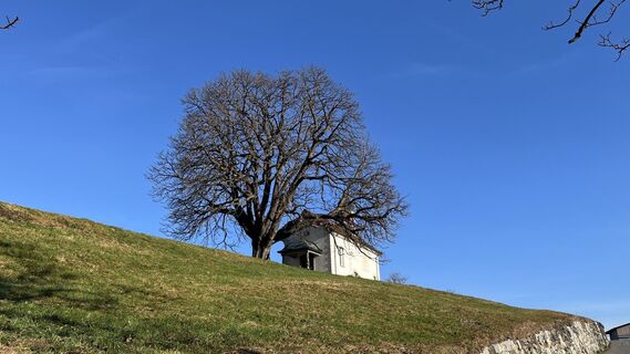 Fotografija s spletne strani Boris Schickedanz na poti