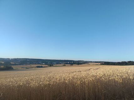Fotografija s spletne strani Januar Y na poti