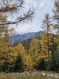 Fotografia z Edit Beliczai na trase