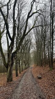 Fotografija s spletne strani B3rgF3x_hwr_5E na poti