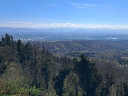 Fotografia z Billharz Wilhelm na trase