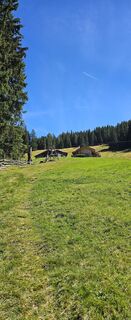 Foto von Detlef Strauch entlang der Tour