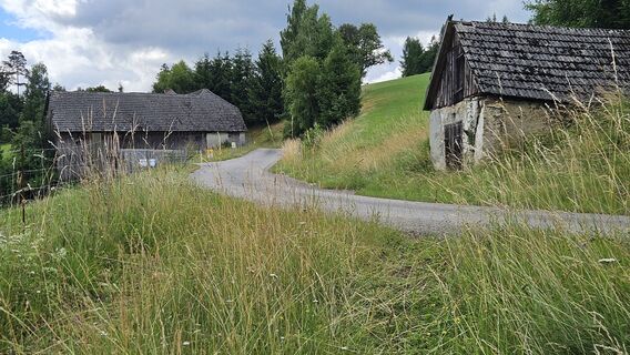 Beim Bäckenhof erreichen wir wieder eine Asphaltstraße