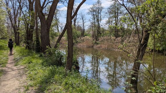 Foto de Edero a lo largo del recorrido