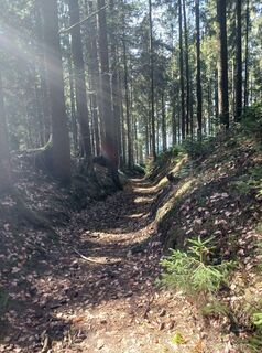Photo de Burgim65 le long du parcours