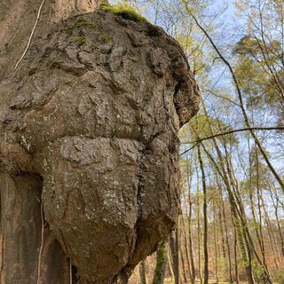 Otterbachbruch Wanderweg