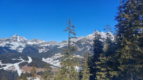 Fotografija s spletne strani Karin Svozil na poti