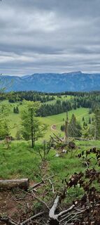 Foto från Manu Hof under resans gång