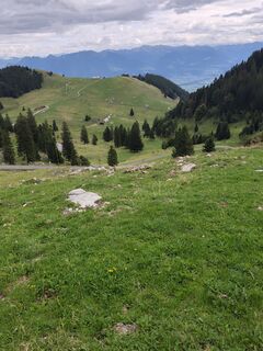 Photo de Peter Seliner le long du parcours