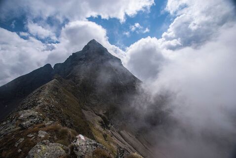 Blick zur Hochwildstelle