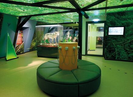 Haus der Natur | Ausstellung