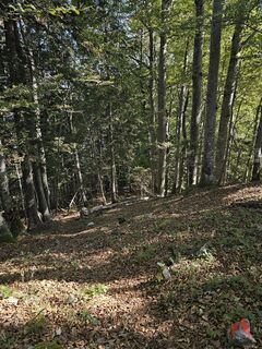 Photo de Grieshofer Gerlinde le long du parcours