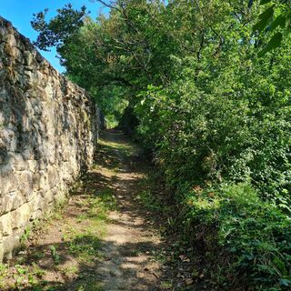 Rauzan_©Office de Tourisme Castillon-Pujols_MS 2023 (3)