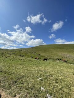 Foto von Udo gangl entlang der Tour