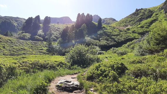 Fotografia z Aga M na trase