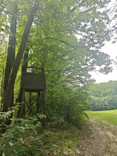 Fotografie z Katona Ferk Mariann na trase