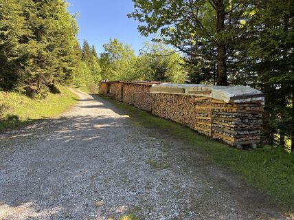 Fotografija s spletne strani Dominik Wymann na poti