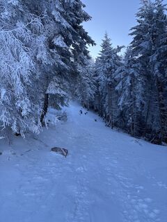 Фото с сайта Heinz Sperl во время экскурсии