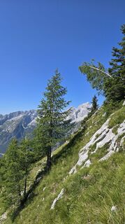 Photo de simbape le long du parcours
