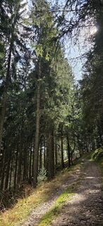 Fotografija s spletne strani Mel 9 na poti