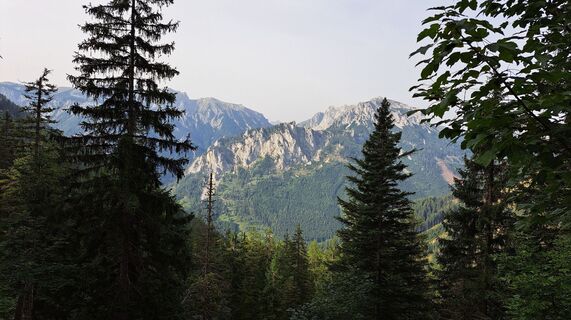 Photo de Anna Wilding le long du parcours