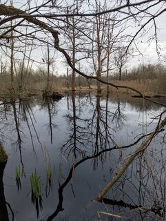 Foto de Matje Derks a lo largo del recorrido