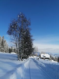 Foto de Dagmar Hofer a lo largo del recorrido