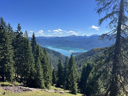 Foto de Henryk Pietrzyk a lo largo del recorrido