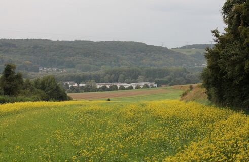 Bouvaincourt_vue-tal_circuit-isle©ADRT80-DR