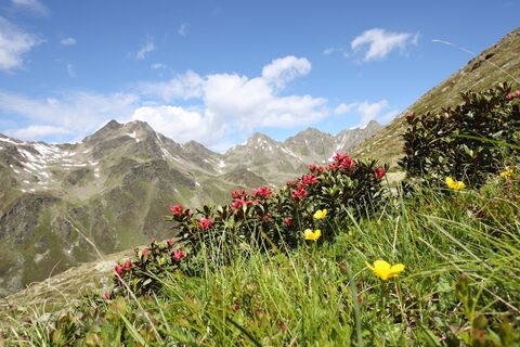 Wanderung durch das Urgtal