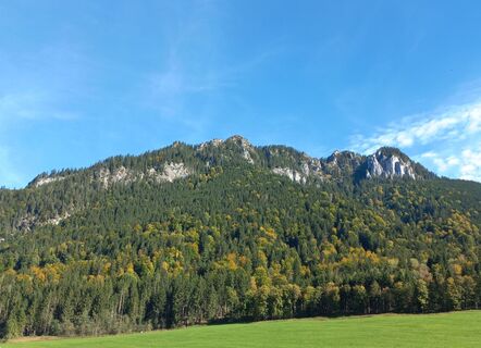 Foto de mosi mönä a lo largo del recorrido