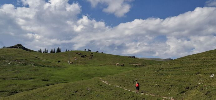 Photo de Daniel Böhm le long du parcours