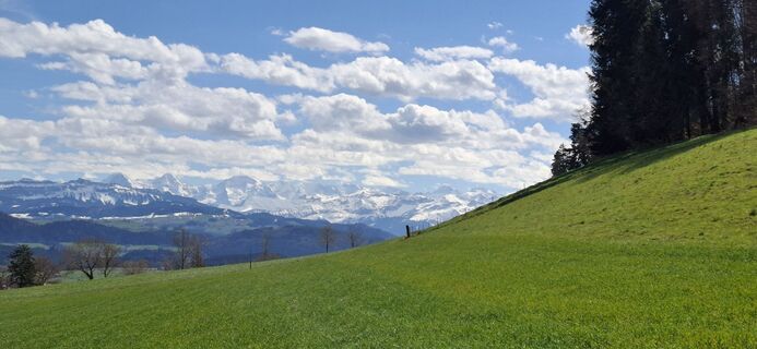 Foto von tinu55 entlang der Tour
