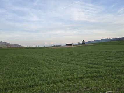 Foto von DUDDY entlang der Tour