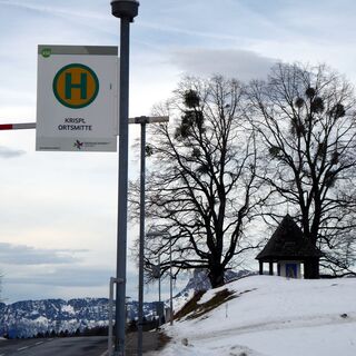 Die Wanderung beginnt bei der Haltestelle Krispl Ortsmitte und zweigt bei der Kapelle nach rechts ab.
