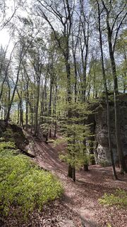 Fotografia z Kosikheni na trase