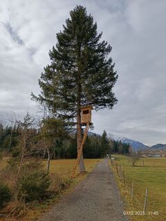 Photo de Peter Winkler 4 le long du parcours