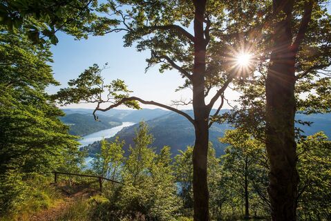 Panoramaweg Diemelsee 
