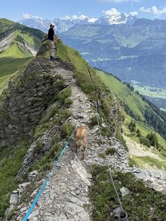 Foto von Rolf Knecht entlang der Tour