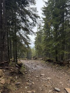 Photo de Flóra Pásztor le long du parcours