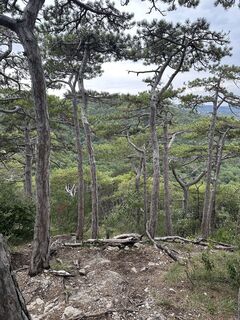 Foto von BSHiking entlang der Tour