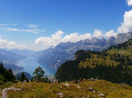 Blick auf den Walensee