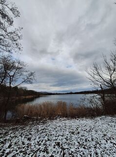 Foto de Mimi a lo largo del recorrido