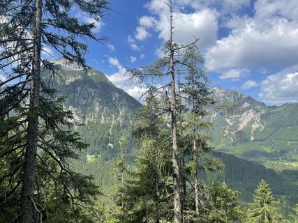 Foto von Ralf Umminger entlang der Tour