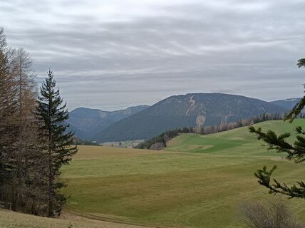 Foto von Bergpirat entlang der Tour