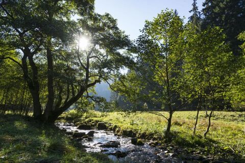 Bachlauf in Willingen-Stryck