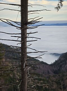 Photo de TwilightTea le long du parcours