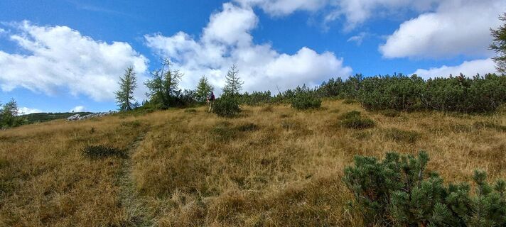 Foto från Klappacher Birgit under resans gång
